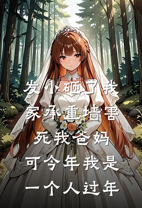 发小砸了我家承重墙害死我爸妈，可今年我是一个人过年