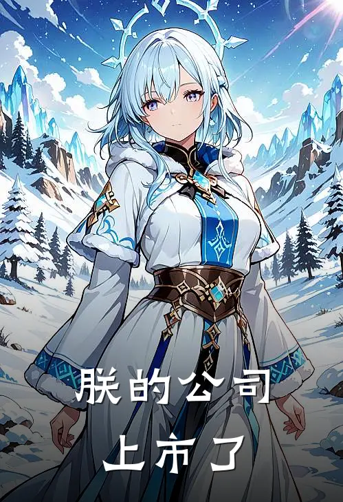 朕的公司上市了